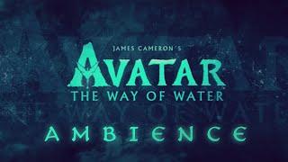 Avatar The Way of Water  Ambient Soundscape