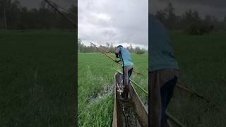 Amazing fish archery video=10