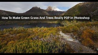 How To Make Green Grass And Trees Pop In Photoshop