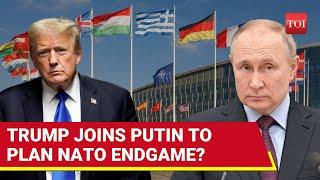 Trumps Secret Deal With Putin To Spell Doom For Ukraines NATO Dream  Report