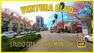 Driving Ventura Boulevard - Studio City to Sherman Oaks  Los Angeles California 4K UHD April 2023