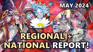 May 2024 Regional + National TOP CUT BREAKDOWN REPORT Post LEDE Best Meta & Rogue Decks  Cost