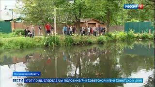 В Жаворонках жители пытаются спасти пруд оказавшийся в руках коммерсантов