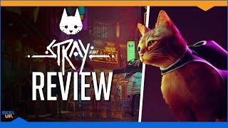 I recommend Stray Review