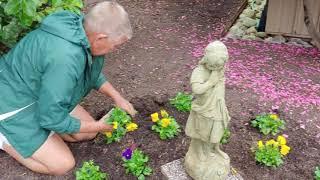 Fall Annuals with Jane  Fall Pansies