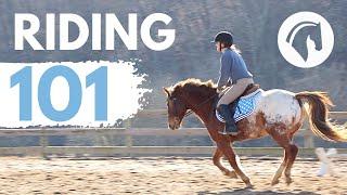 HOW TO RIDE A HORSE EASY BEGINNERS GUIDE