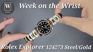 Week on the Wrist - Rolex Explorer 124273 Steel & Gold  The ultimate Palate cleanser 🪙