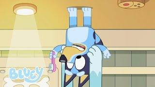 Bluey Saison 2 Épisodes complets  Bluey Français Chaîne Officielle