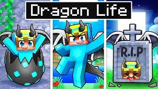 Having a DRAGON LIFE in Minecraft