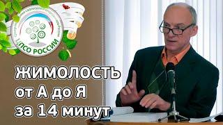 ЖИМОЛОСТЬ. Все о выращивании жимолости за 14 минут.