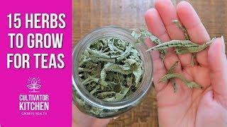 15 Herbs I Grow for Teas Frugal Healthy Living 