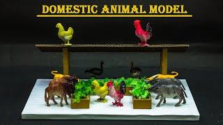 Science Projects  Domestic Animals Model