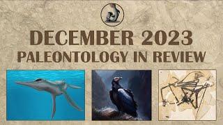 December 2023 - Paleontology in Review
