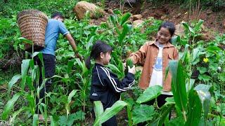 Harvest Vegetables and Squash to Sell at Market Buy New School Bag for Daughter  Family Farm