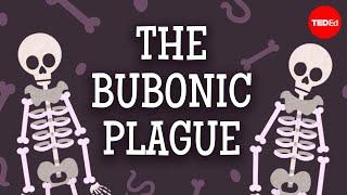 The past present and future of the bubonic plague - Sharon N. DeWitte