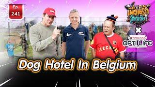 Dog Hotel ธุรกิจสัตว์เลี้ยงที่เราต้องรู้ I เพื่อนรักสัตว์เอ๊ย Ep.241 #belgium