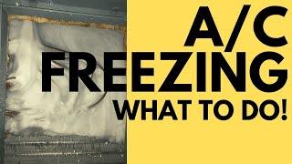What to do when air conditioner freezes up Air conditioner tips for summer