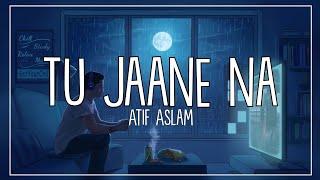 Tu jaane na slowed + reverb Atif aslam  Irshad Pritam  Ranbir Katrina  LS04  LyricsStore 04