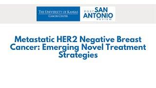 Metastatic HER2 Negative Breast Cancer Emerging Novel Treatment Strategies