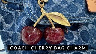 Coach Cherry Bag Charm Review