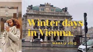 Vienna diaries archived winter vlog work days garden of lights trying a japanese fusion place