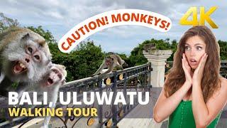 Monkey ATTACK on me ULUWATU BALI INDONESIA - 4K VIRTUAL WALKING TOUR  Bali Travel Vlog