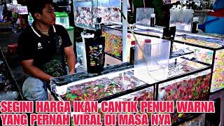 SEGINI SEKARANG HARGA IKAN YANG PERNAH VIRAL DIMASANYA  UPDATE HARGA IKAN GLOFISH DI JATINEGARA