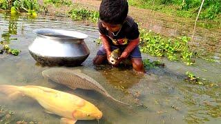 Amazing Hand Fishing Traditional Boy Big Fishing by Hand in the pondছোট ছেলের হাত দিয়ে মাছ ধরা