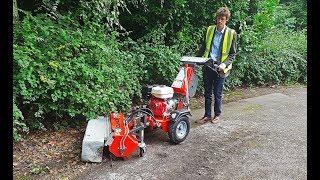 Cleaning moss from paths