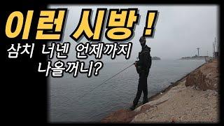 이런 시방  삼치 아직도 나옵니다. 바람  쐐러가시죠