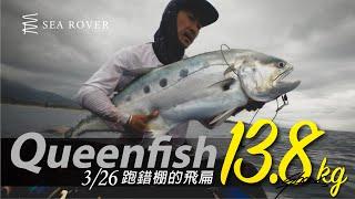 跑錯棚的飛扁13.8kg～    #queenfish #飛扁 #searover #supfishing #sup #sup釣魚