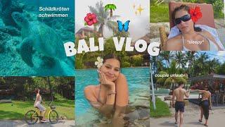 Wir schwimmen mit Schildkröten Couple Urlaub Bali  Videozeugs