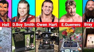 Tombstones of the WWE Wrestlers Who Died