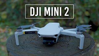 DJI Mini 2 Drone  Hands-on Review