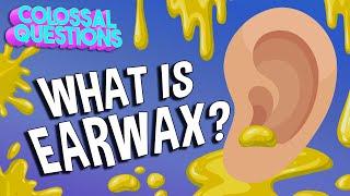 What Is Earwax?  COLOSSAL QUESTIONS