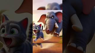 Baby Elephant Chasing Cats  Ginger Cats Story #cute #cat #kitten #shorts