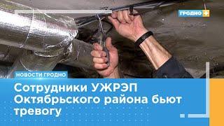 Самовольно проводят свет в свои подвалы. Что за это будет?