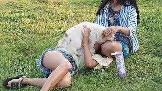 Cutest Puppies Playing With Smart Girls On Grass In My Village  Pretty Girls And Cute Dog