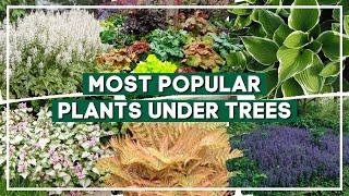 Top 15 Most Popular Plants for Planting Under Trees    PlantDo Home & Garden