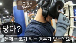 복싱 코보호 헤드기어 인데 코가 닿는다면?