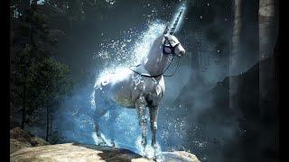 BDO Dream Horse Awakening