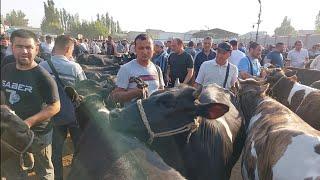 Qoqon mol bozori ģunajinlar VA sigirlar narhlari bilan tanishing 12.06.2024yil