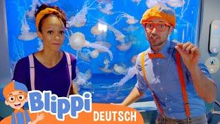 Blippi Deutsch - Blippi Meekah und die Nacht im Aquarium  Abenteuer und Videos für Kinder