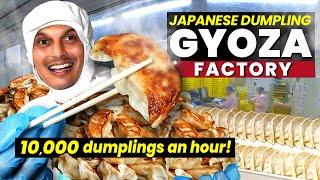 Inside a Japanese GYOZA DUMPLING Factory  ONLY in JAPAN