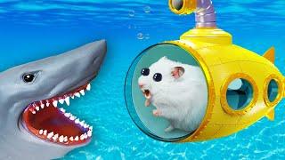  Hamster in Submarine - Hamster Maze with Traps 