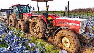 TRAKTÖRLE OFF ROAD  BEŞ TANE BATMIŞ RÖMORKU TARLADAN ÇIKARDIK  VLOG #21 GoPro