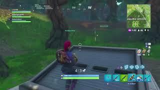 FORTNITE BATTLE ROYALE secret wailing woods vault broke