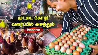 Muttai Kozhi Pannai  EGG Poultry Farm in Sri Lanka   #BK in Reeacha  Reecha Organic Farm