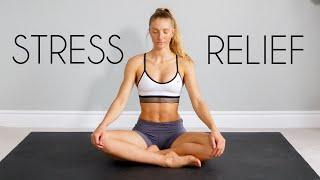 20 min Full Body STRETCHYOGA for STRESS & ANXIETY Relief