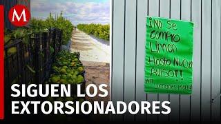 Productores de limón en Michoacán prolongan paro para denunciar extorsión criminal